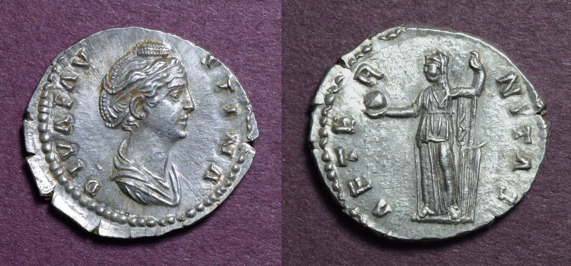 Diva Faustina-Maroon.jpg