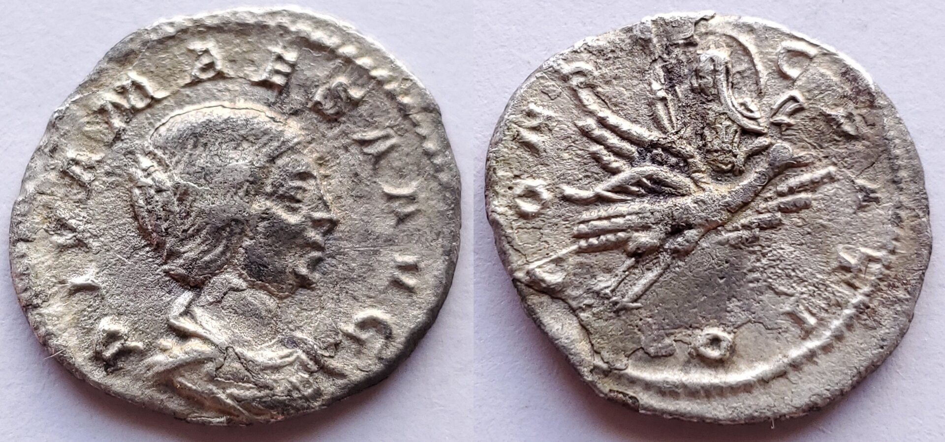 Diva Julia Maesa denarius.jpg