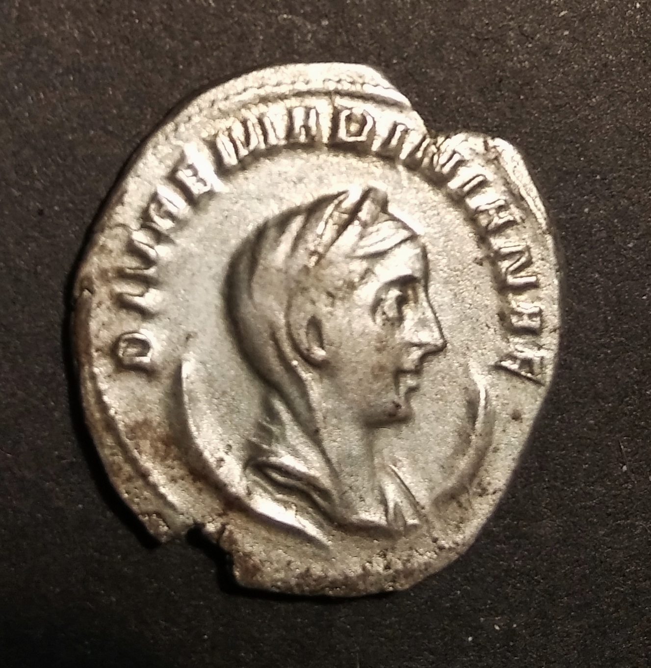 Diva Mariniana O1.jpg