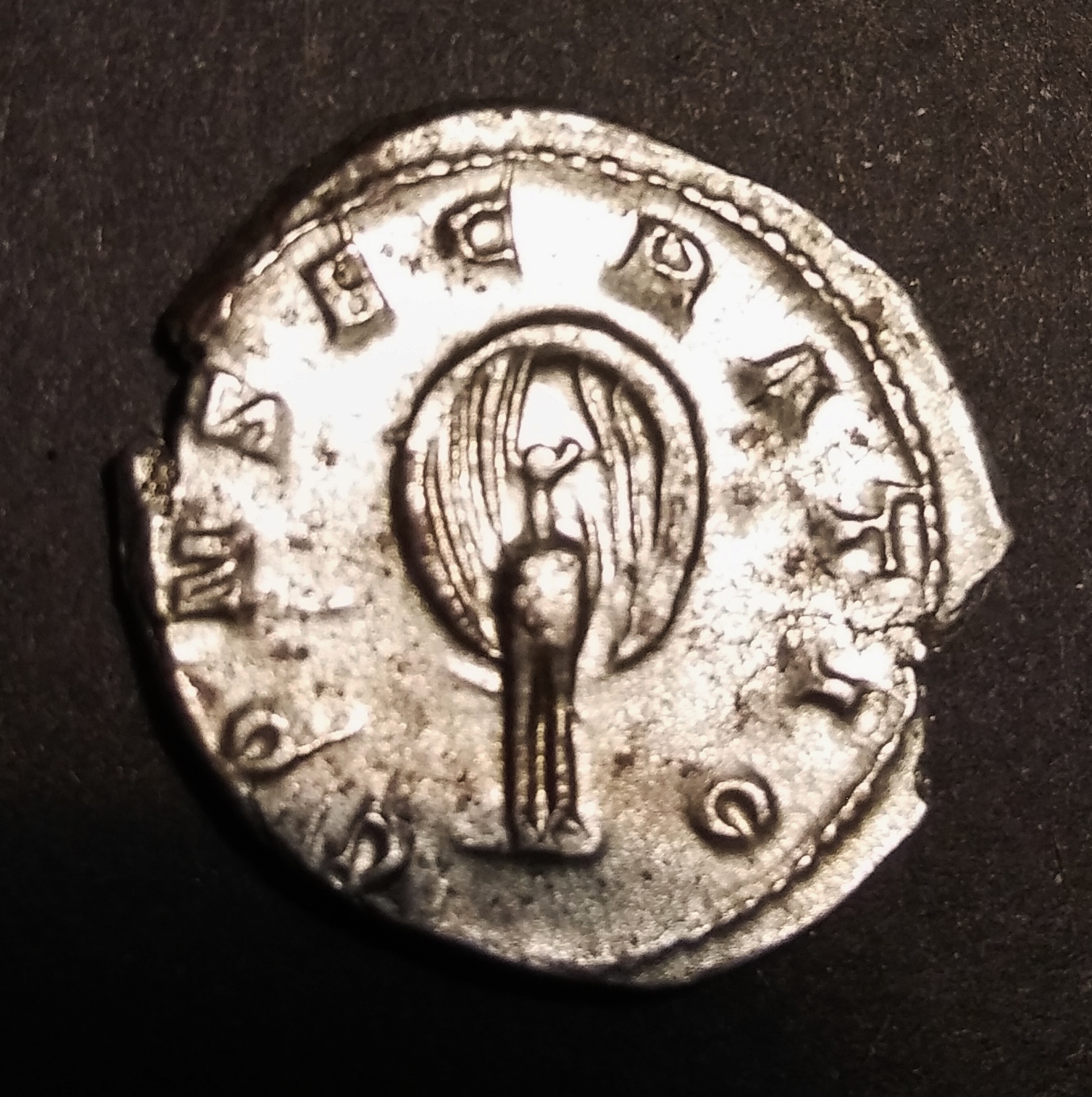 Diva Mariniana R1.jpg