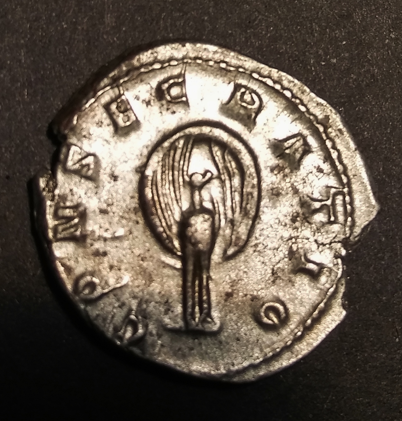 Diva Mariniana R2.jpg