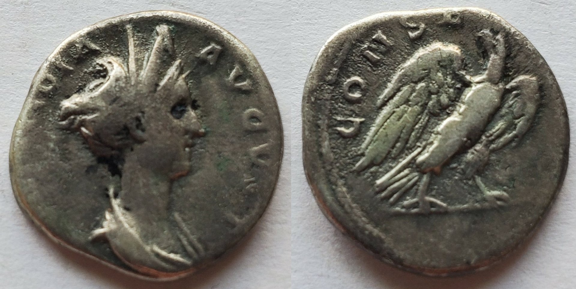 Diva Matidia AR denarius.jpg