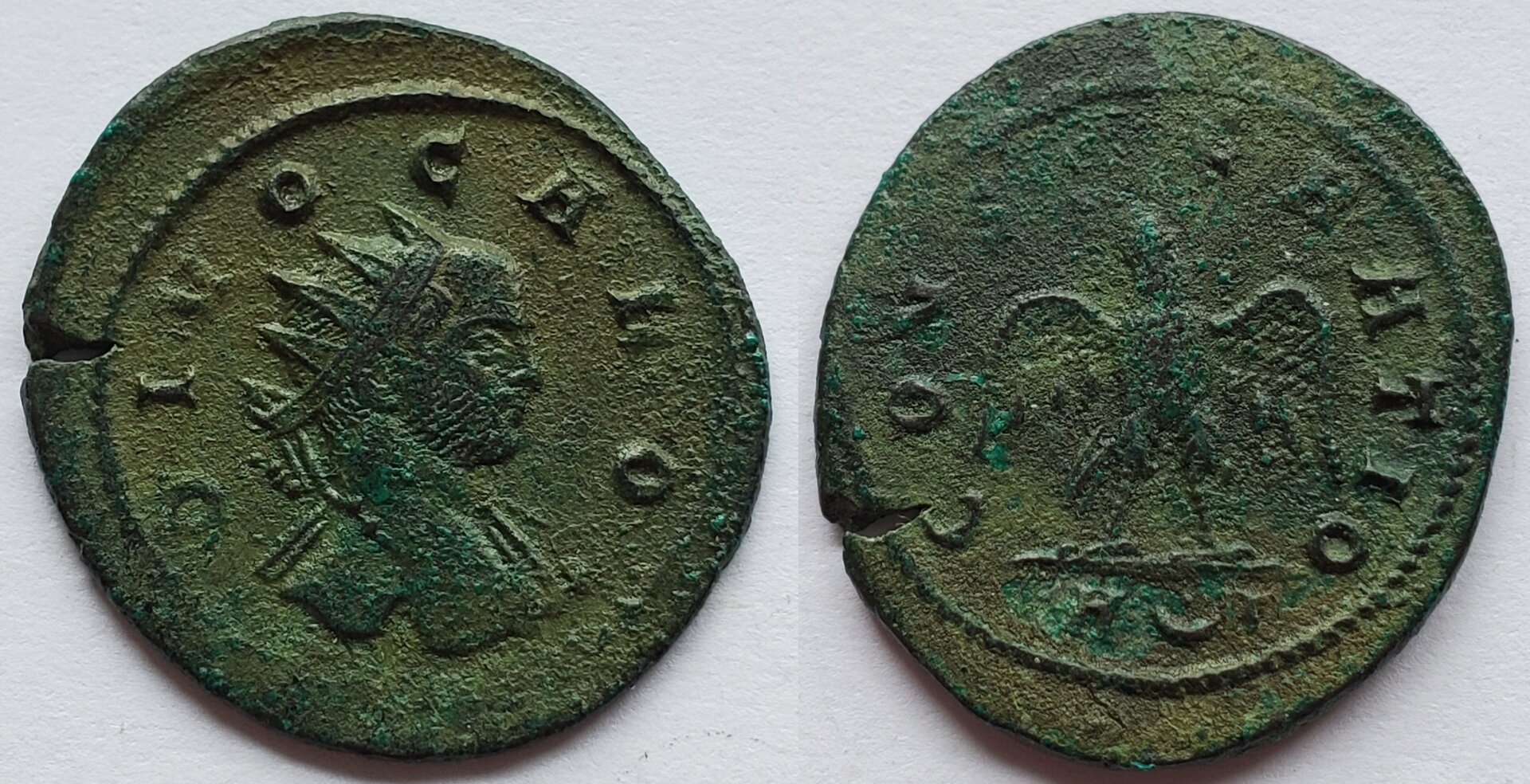 Divo caro eagle.jpg