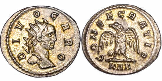 divocaro (1).jpg