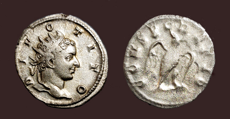 DivoTito.jpg