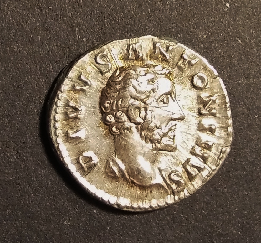 Divus Ant. Pius O3.jpg