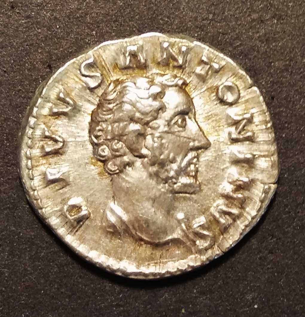 Divus Ant. Pius Obv.jpg