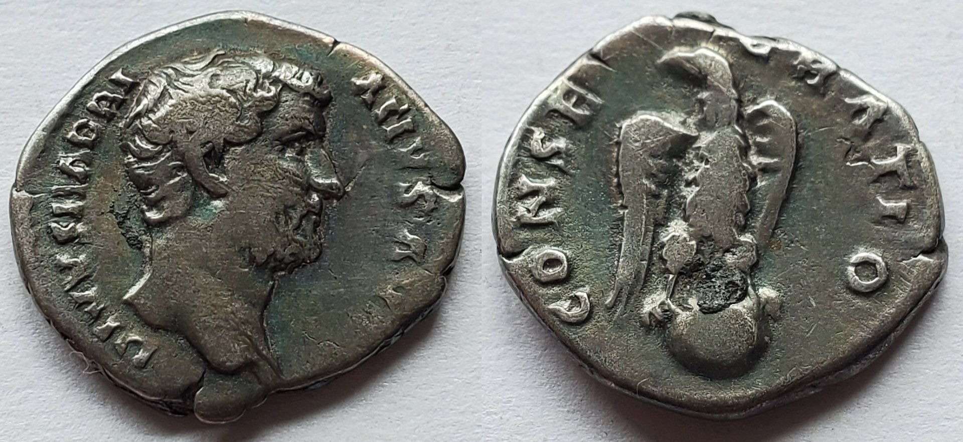 Divus Hadrian denarius by Pius.jpg