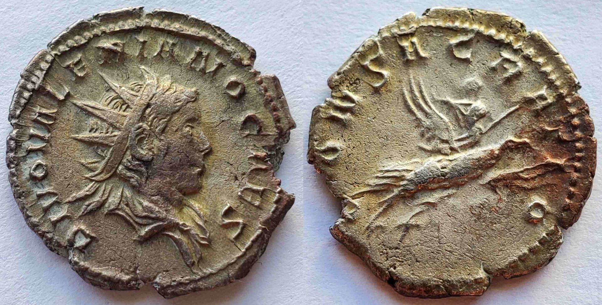 Divus valerian ii eagle_compress7.jpg