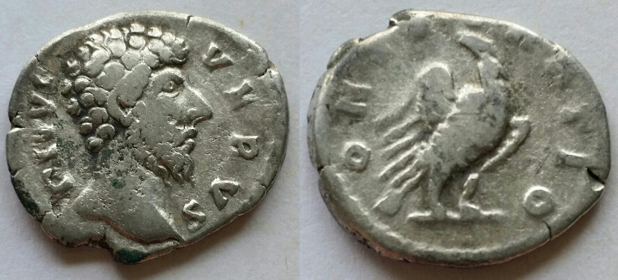 Divus verus denarius eagle.jpg