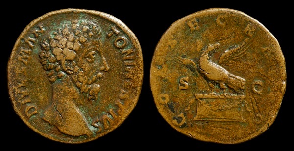 divvs aurelius 6.jpg