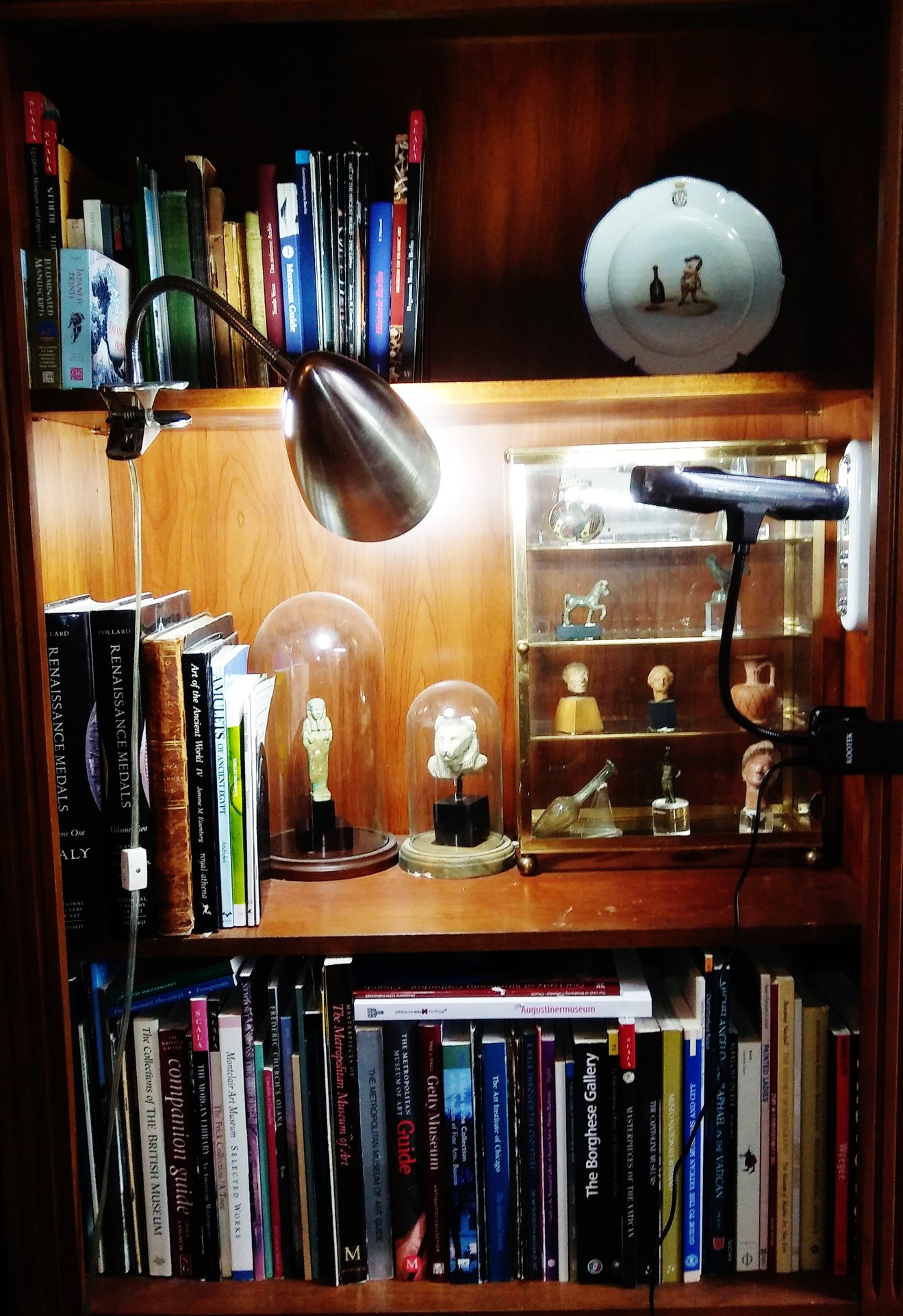 DML Living Room, art & archaeology bookcase center, with. antiquities.jpg