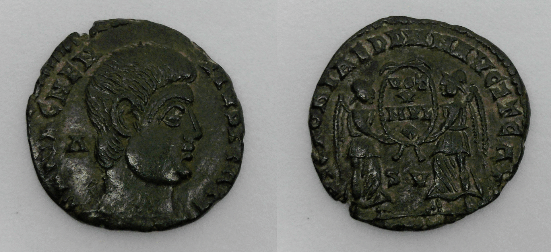 DN MAGNENTIUS.gif