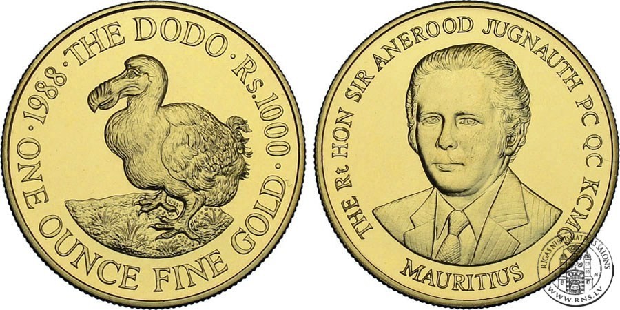 dodo.jpg