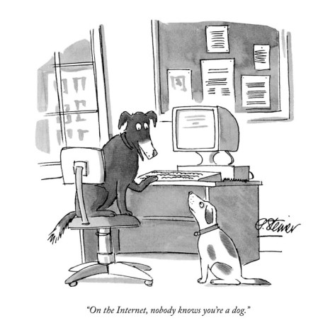 dog on net.jpg