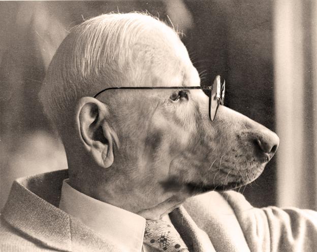 dog years.jpg