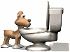 dog_drinking_toilet_sm_wht.gif