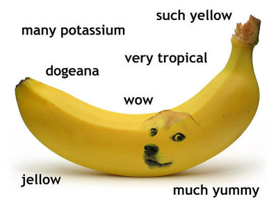 Doge 2.jpg