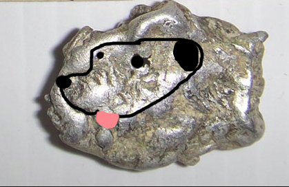 doggie.jpg