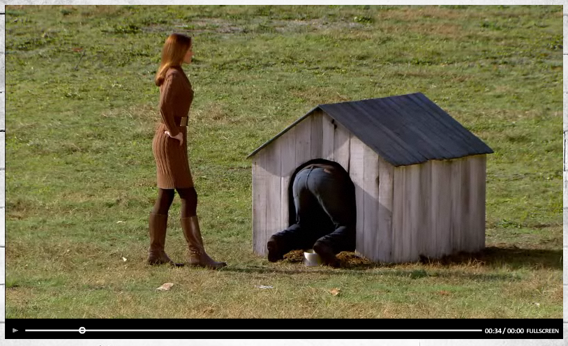 doghouse 4.png