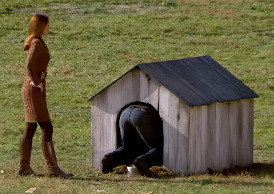 doghouse - aftermath.jpg
