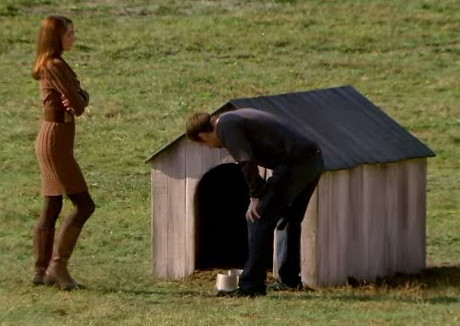 doghouse - before.jpg
