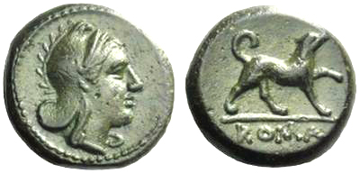 DogLitra.jpg