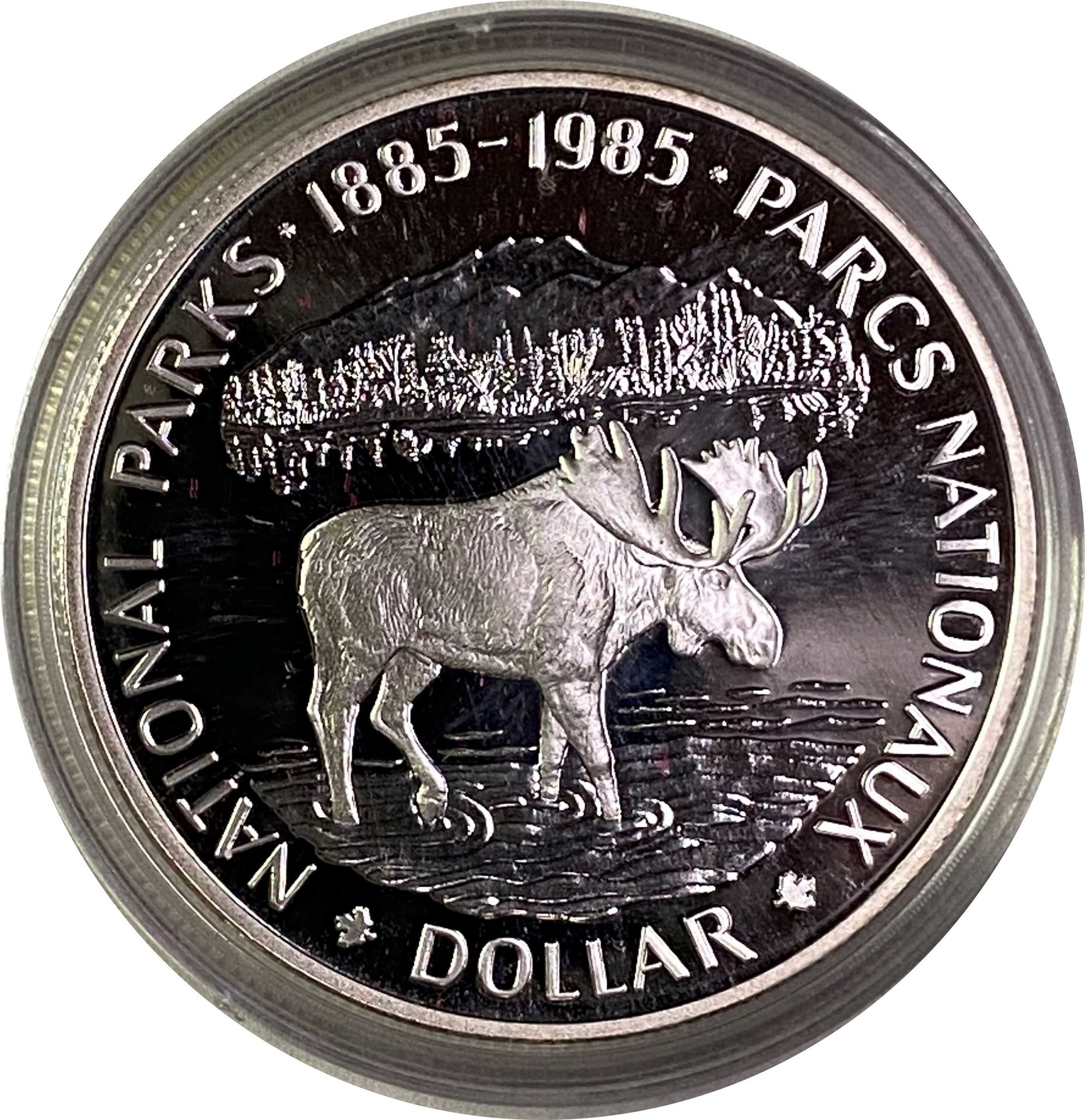 Dollar_1985.jpg