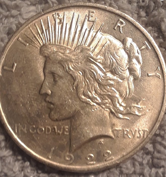 dollarcrop.jpg