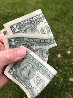 Dollars found in yard, street, and Nick's yard 5-12-18.jpg