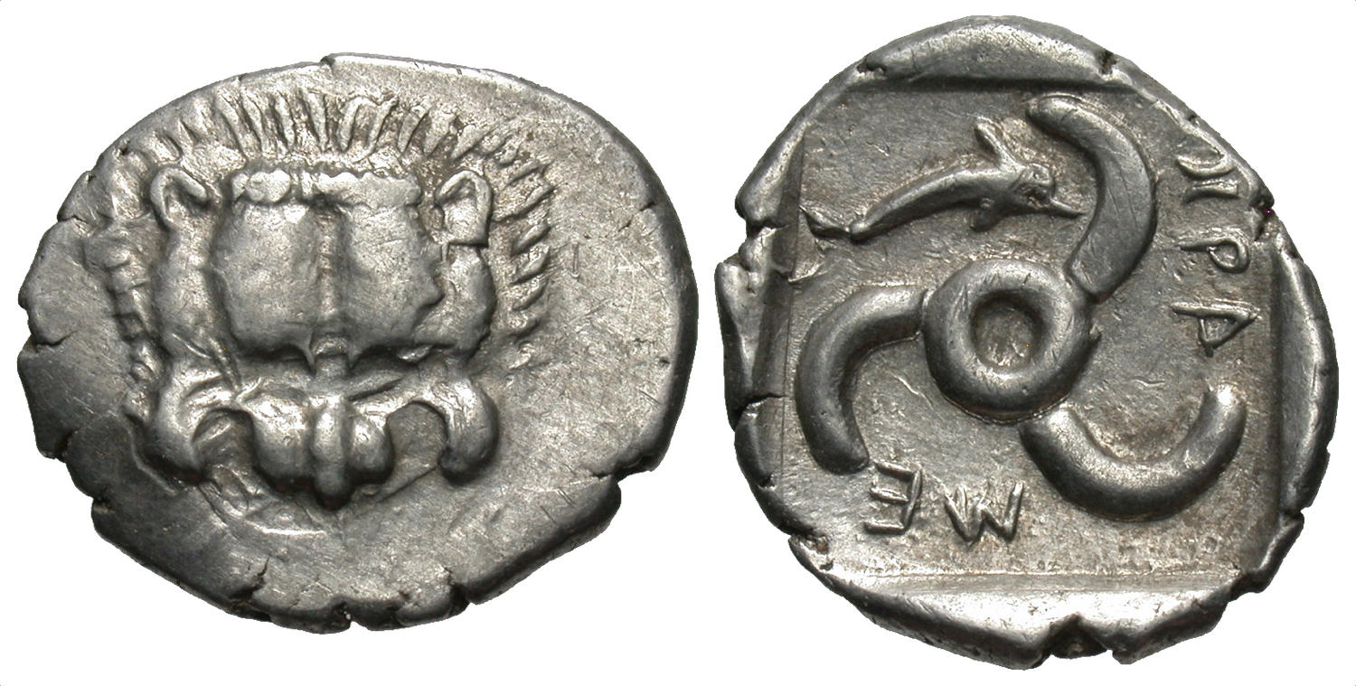 Dolphin example.jpg