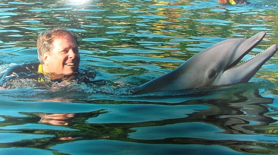 dolphin.jpg