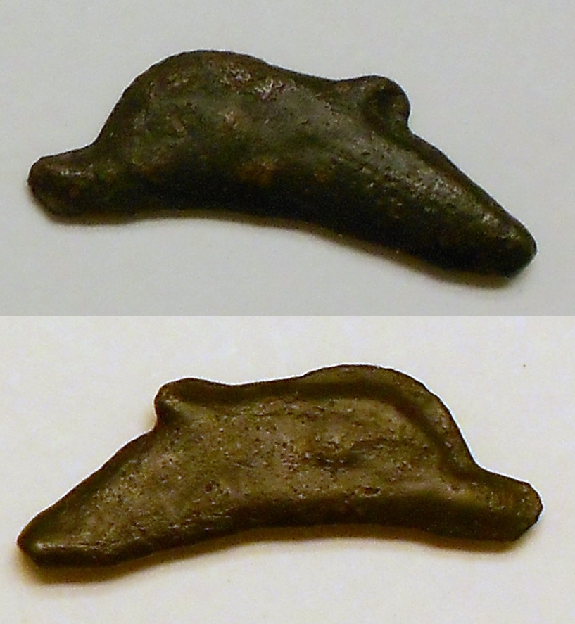 dolphin.jpg