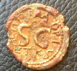 DomAgrip 2   hendin1326.JPG