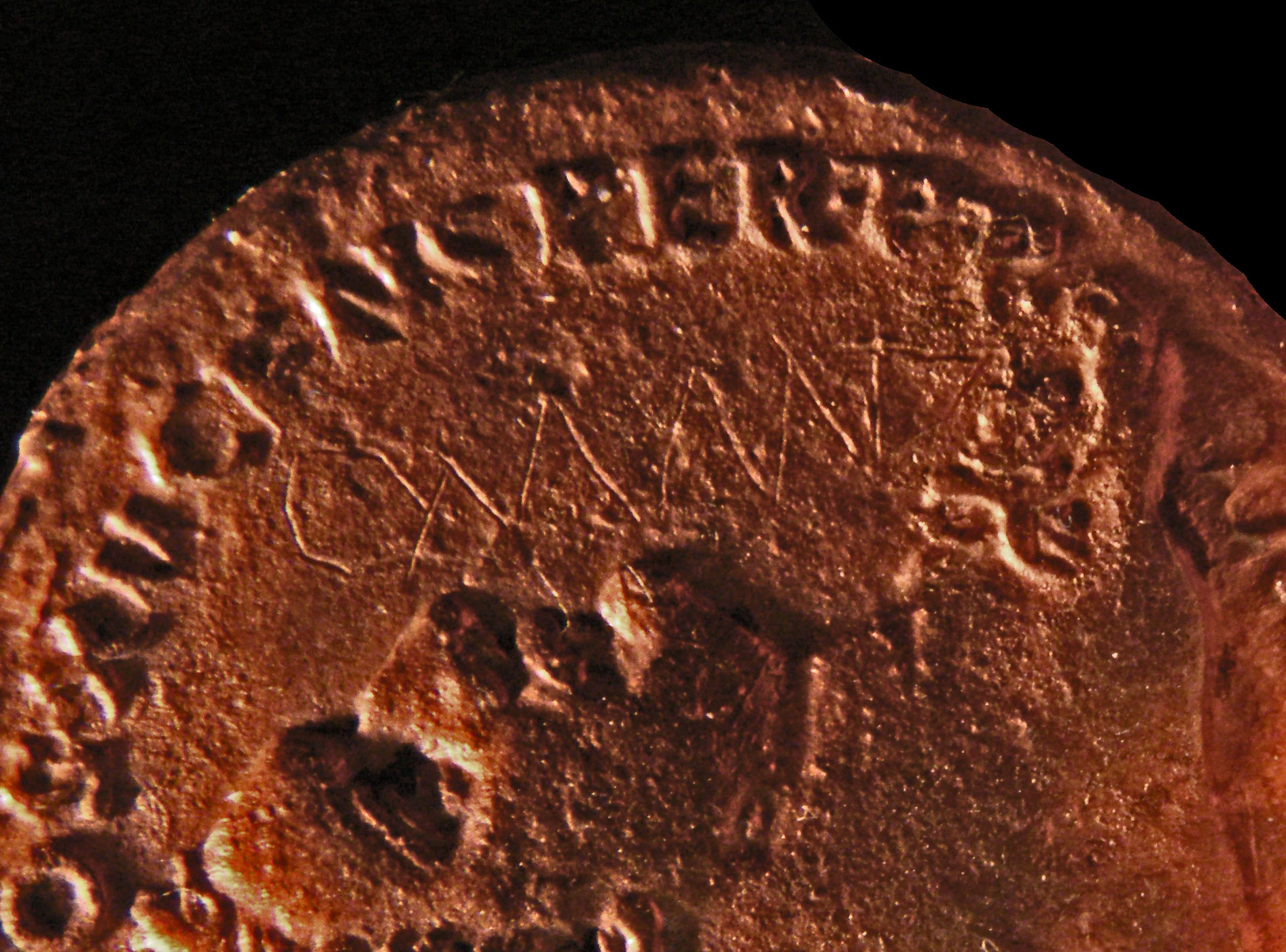 Domit XV-2 detail.jpg