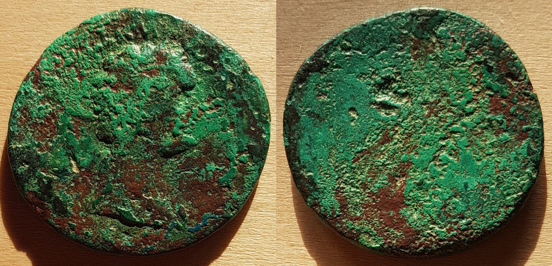domit14-2.jpg