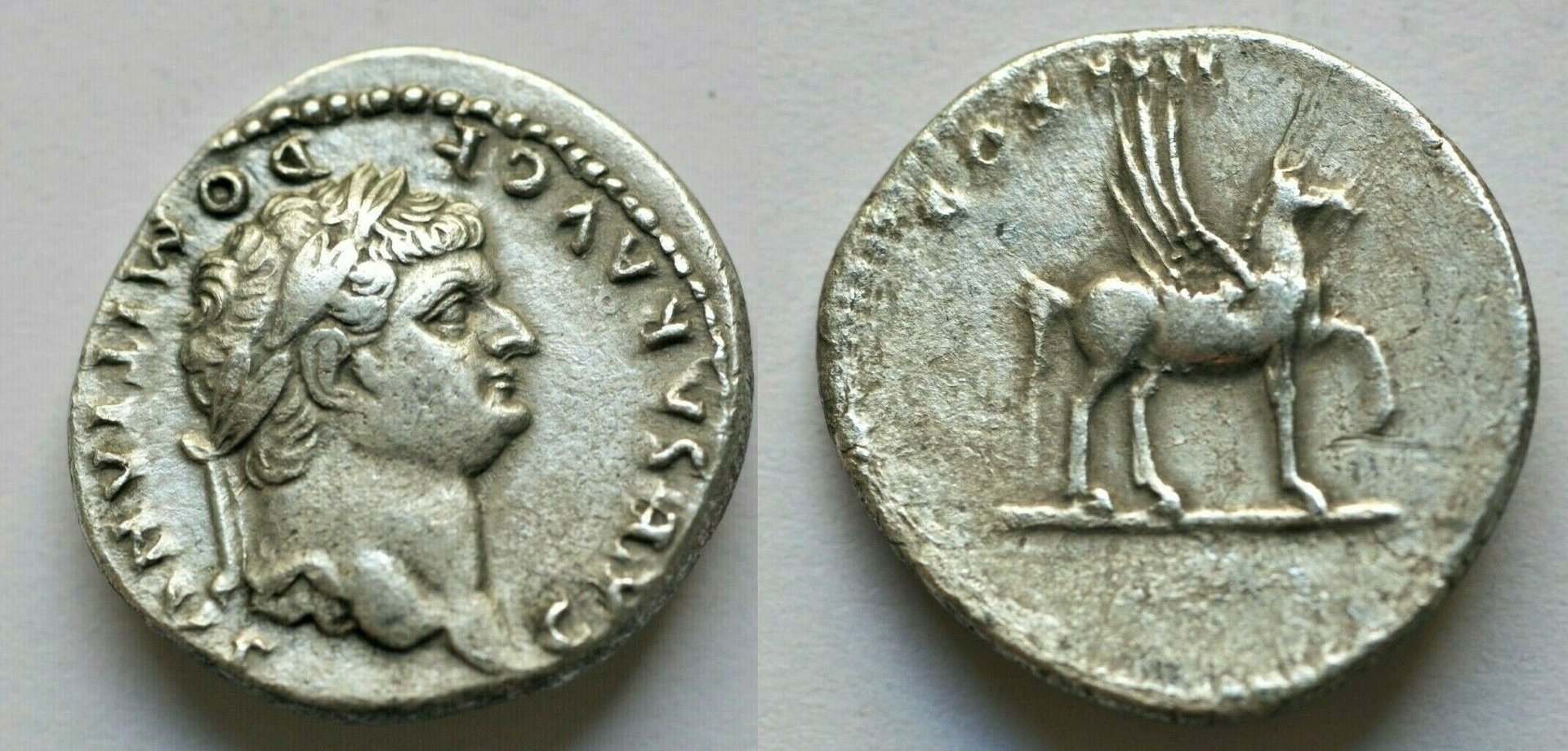 Domitian 1.jpg