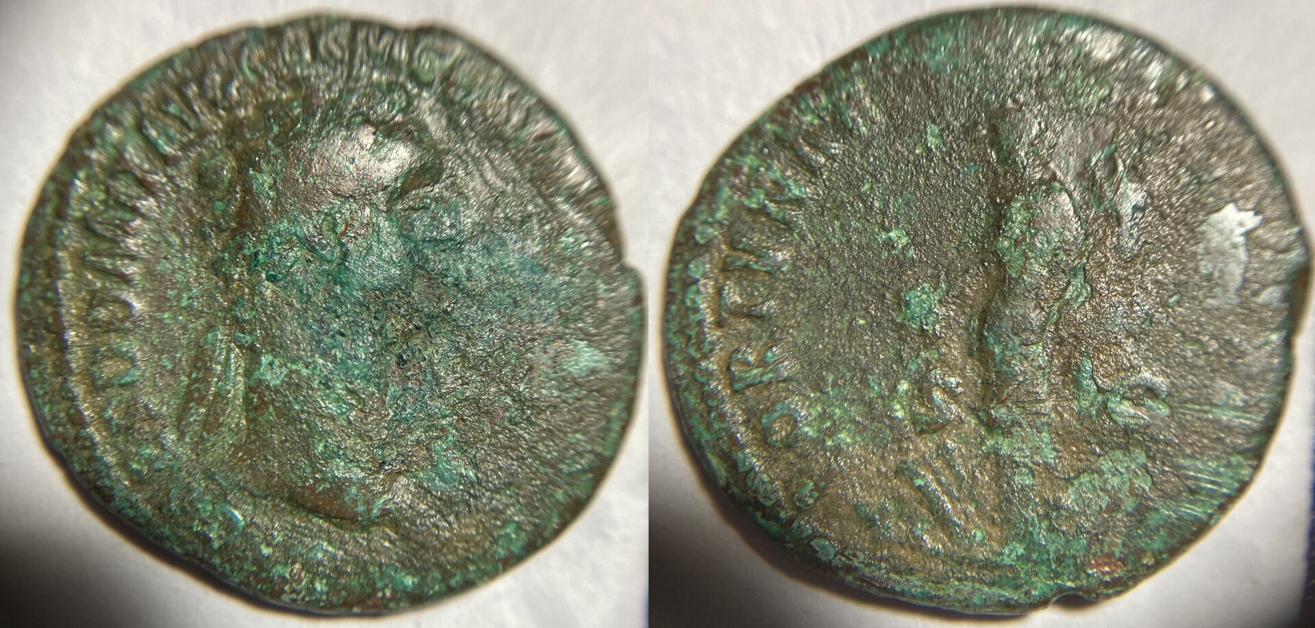 Domitian AE As RIC 755.JPG
