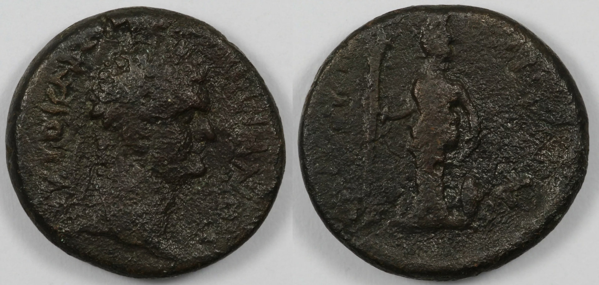 Domitian AE Combined Image.jpg