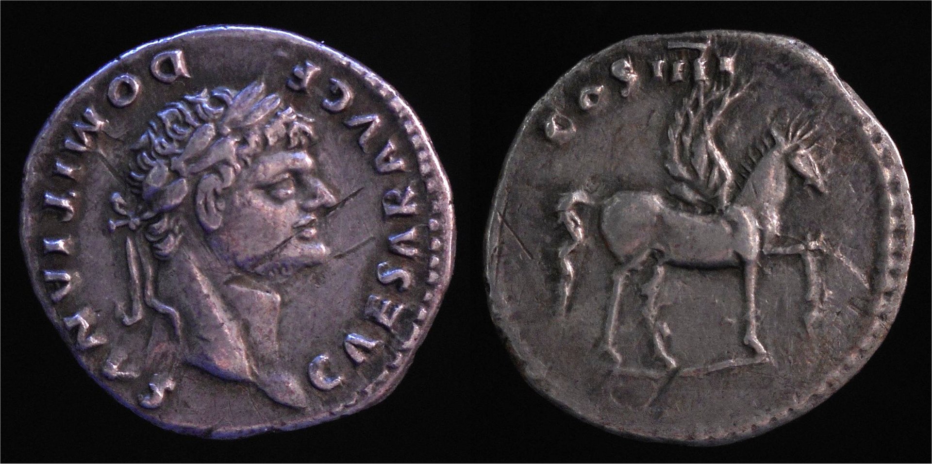 Domitian AR Denarius Pegasus RSC 47.jpg