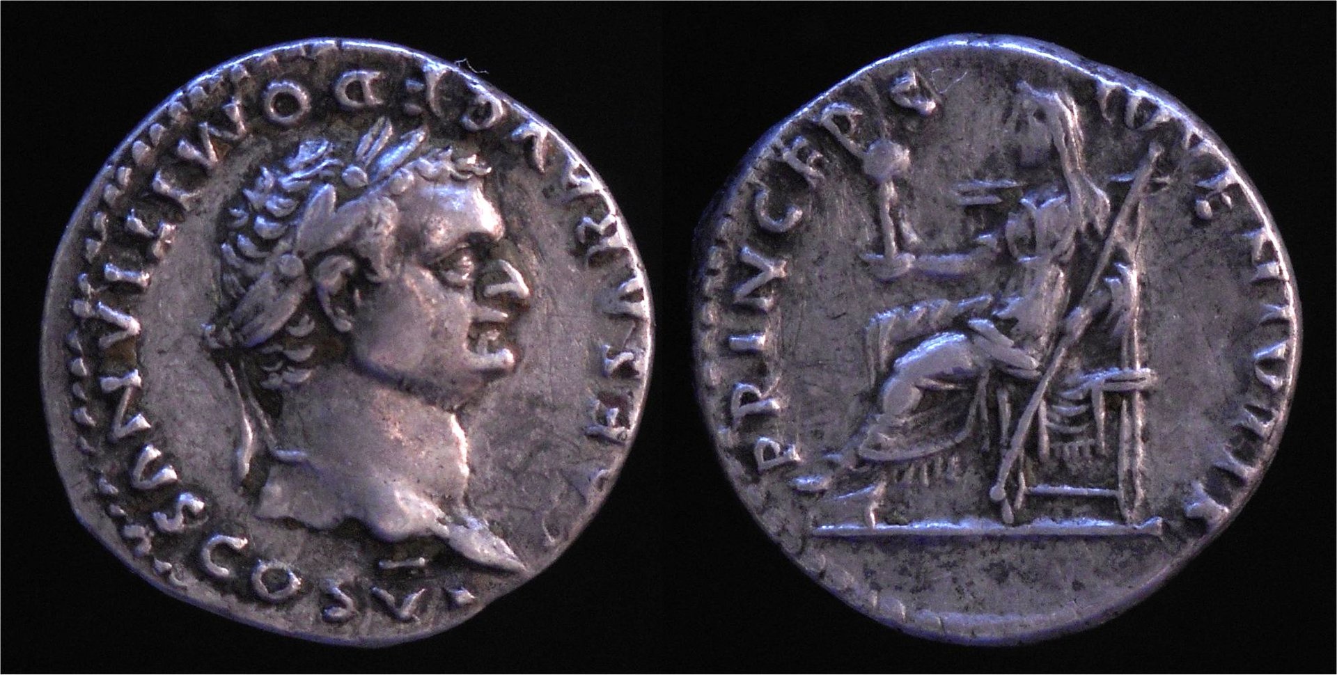 Domitian AR Denarius RIC 244.jpg