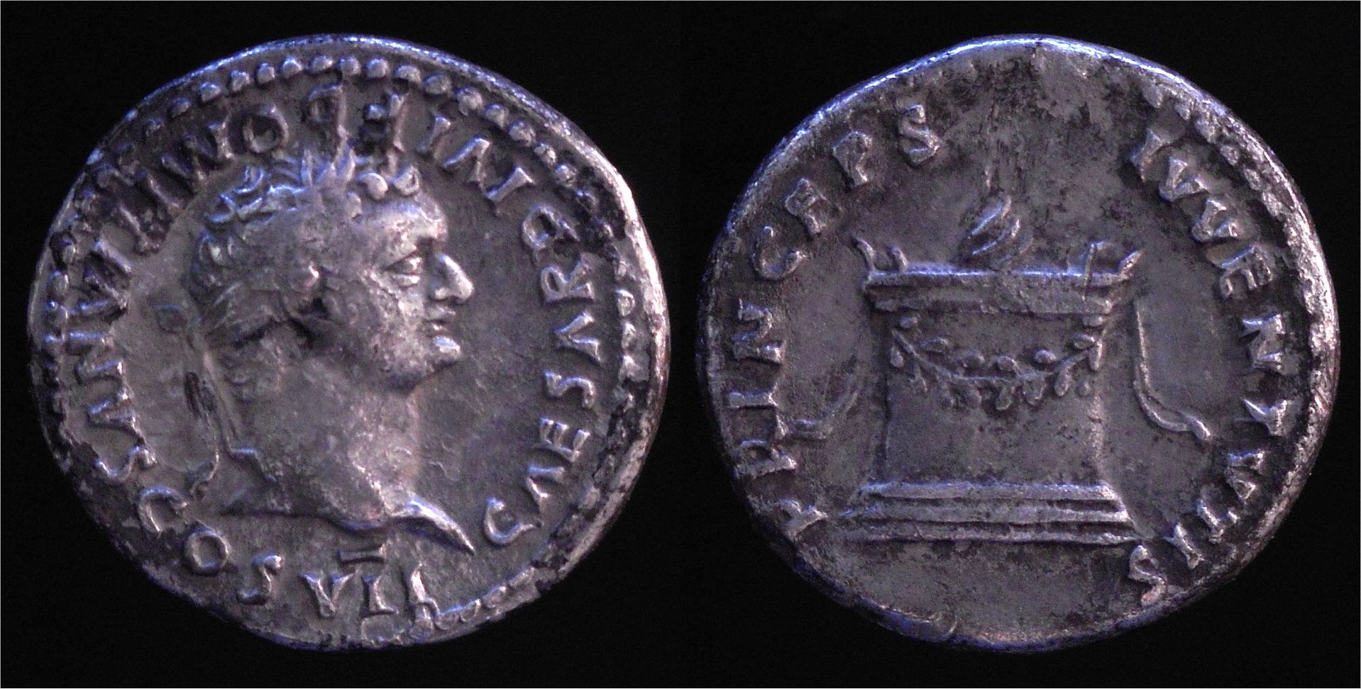 Domitian AR Denarius RSC 397a.jpg