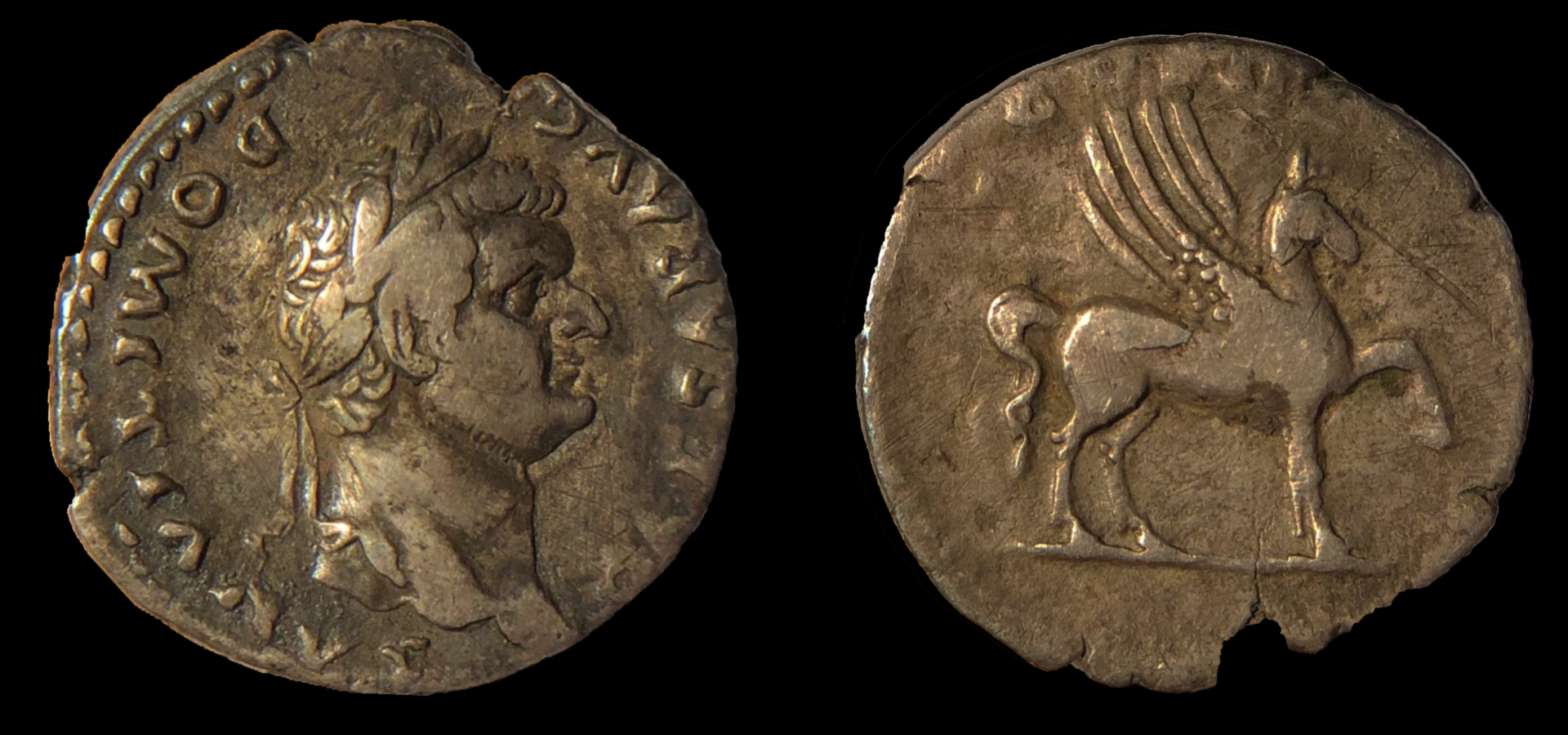 Domitian Denarius copy.png