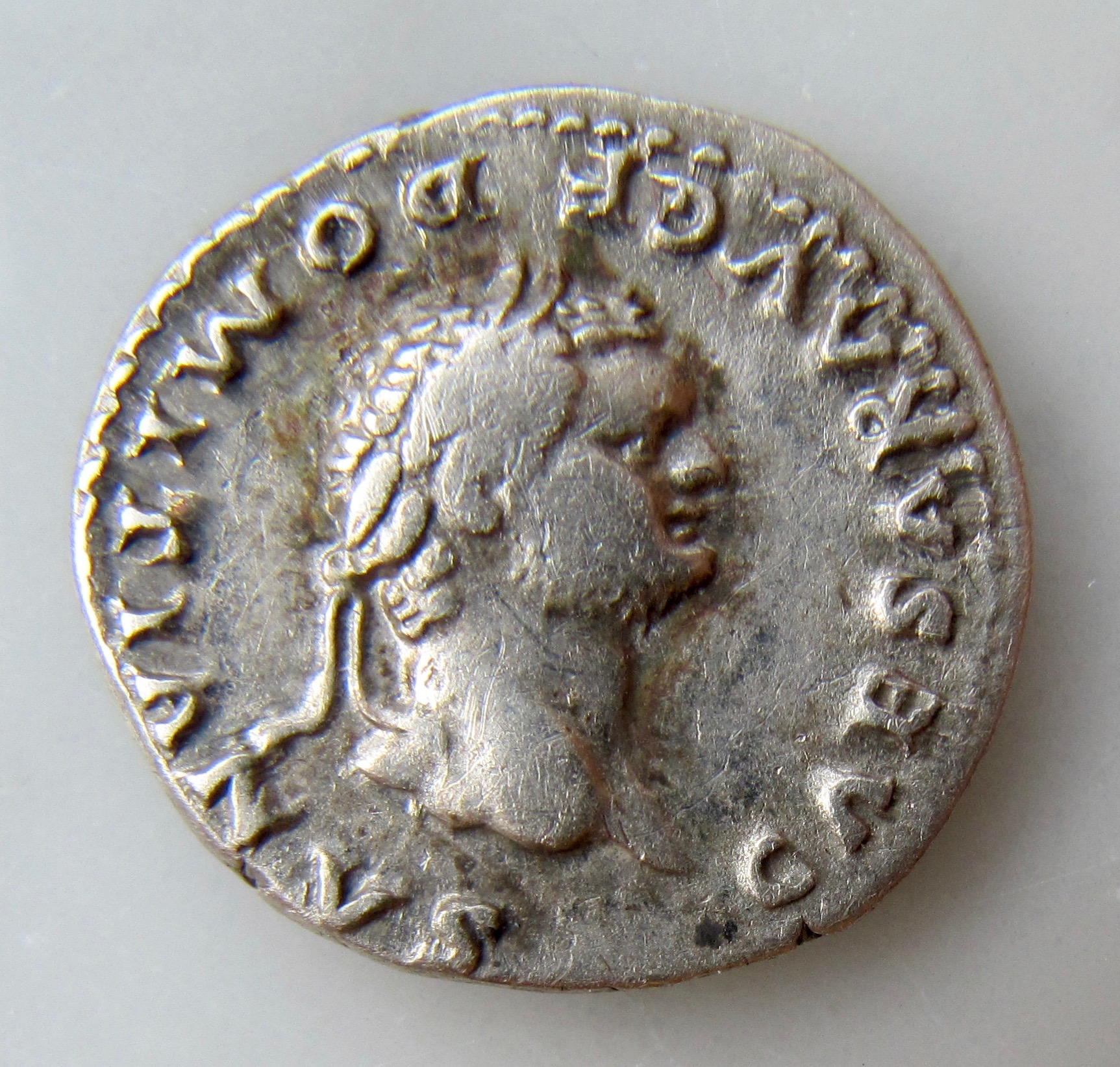 Domitian Denarius Romulus and Wolf-Obv  - 1.jpg