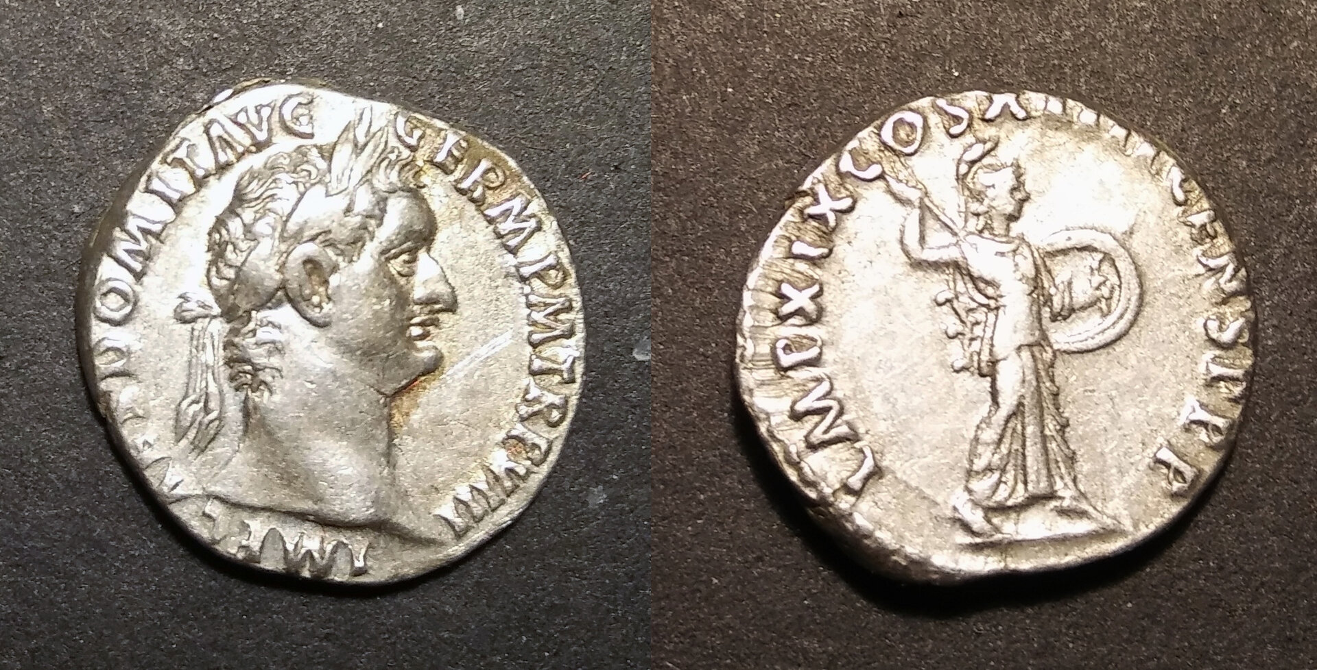 Domitian Denarius RSC 252 COMBINED.jpg