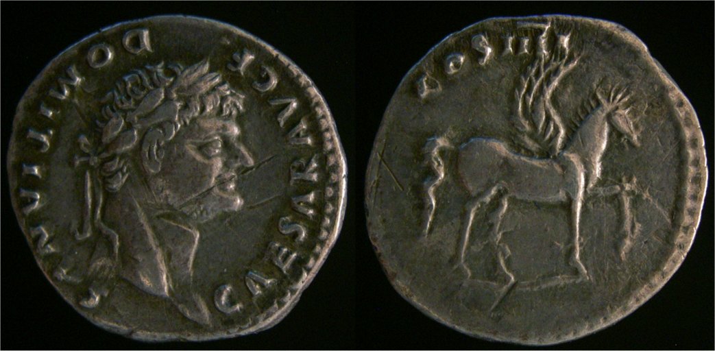 Domitian Denarius RSC 47.jpg