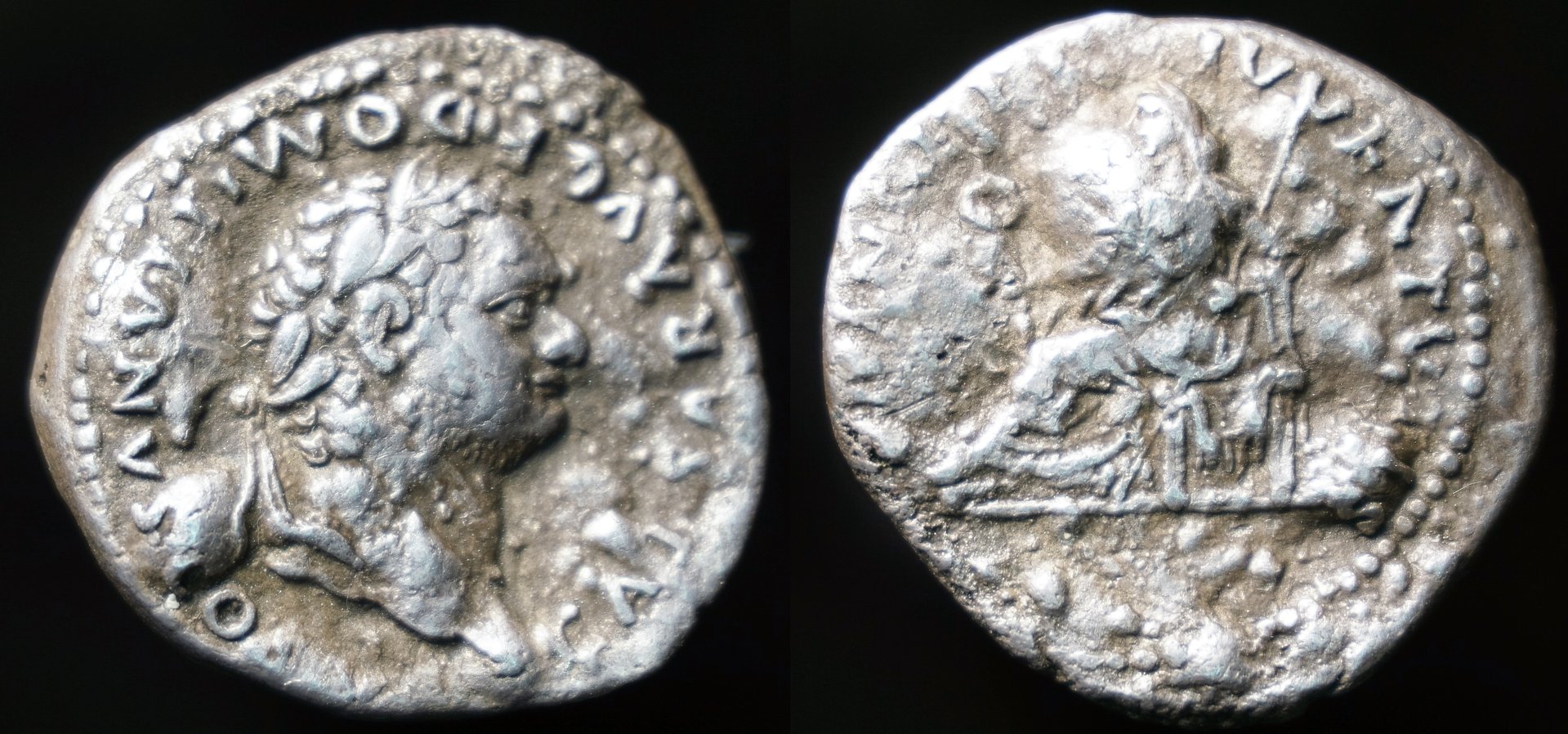 Domitian Fourree 1.JPG