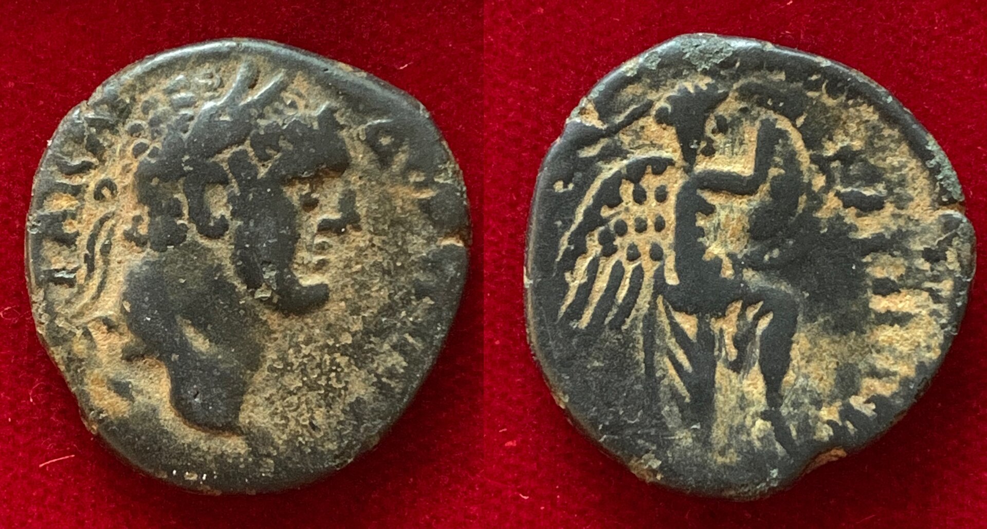 Domitian Judea.jpg