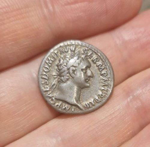 Domitian Obv.jpg