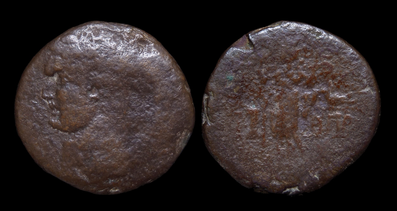 Domitian - Phoenicia Ascalon.jpg